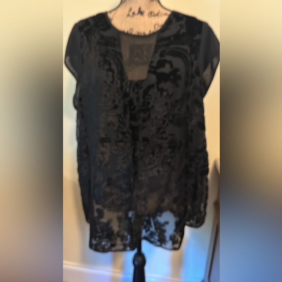 Simply Vera Shear/Velvet Top Size 1X - Picture 2 of 2
